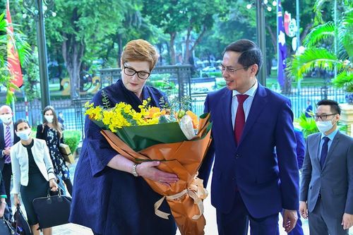 Ngoại trưởng Úc thăm Việt Nam, thông báo hỗ trợ thêm 2,6 triệu liều vắc xin