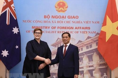 'Phụ nữ, Hòa bình và An ninh: Trên đường phục hồi sau COVID-19'