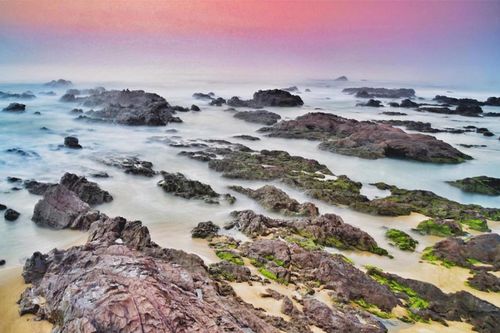 Ngắm vẻ đẹp nguyên sơ và thưởng thức hải sản 'siêu chất' ở gành đá Lộ Diêu, Bình Định