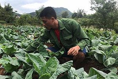 Chủ thể của sản phẩm OCOP tích cực tham gia phát triển kinh tế sốTin khácLinh hoạt hình thức hưởng ứng Ngày Pháp luậtPhát huy truyền thống đoàn kết, quyết tâm xây dựng tỉnh Lạng Sơn phát triển nhanh, bền vững