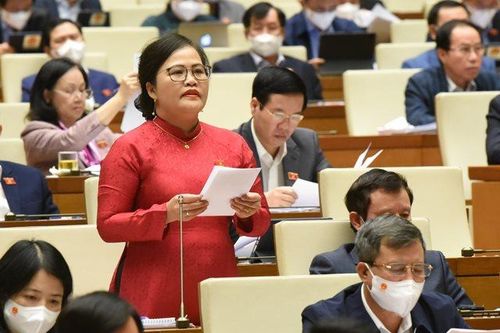 Chính trị - Xã hội Theo dòng thời sự Kỳ họp thứ 2, Quốc hội khóa XV: Bảo hiểm là trụ cột chính của hệ thống an sinh xã hội