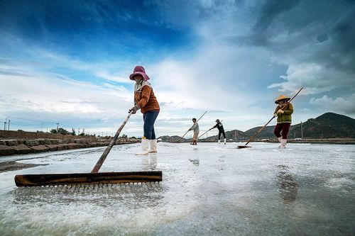 Gia Lai: 2 tác phẩm triển lãm tại cuộc thi quốc tế 'Nhiếp ảnh gia môi trường'