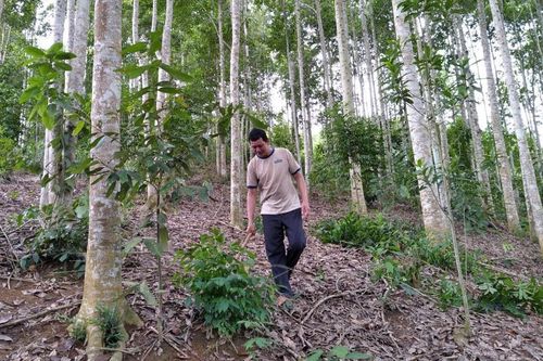Bảo Thắng: Đồng bào dân tộc thiểu số tích cực sản xuất, kinh doanh giỏi