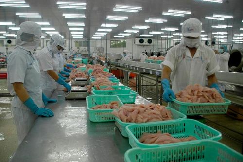 Xuất khẩu nông, lâm, thủy sản: Doanh nghiệp tăng tốc đón mùa cao điểm cuối năm