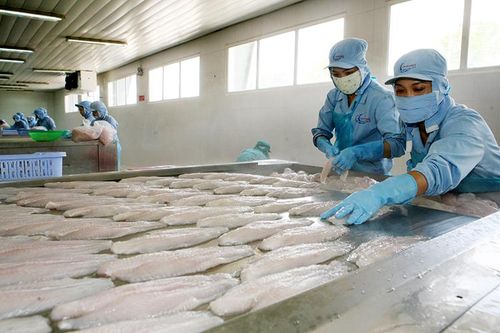 Xuất khẩu nông, lâm, thủy sản: Tự tin cán đích 44 tỷ USD