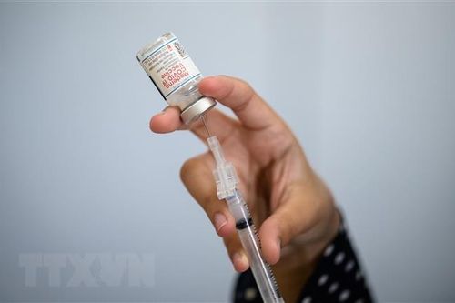 Hãng Moderna đề xuất giá vaccine COVID-19 ưu đãi cho châu Phi