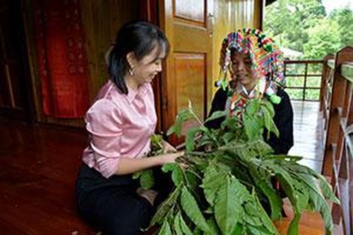 Bình Gia: Phát triển du lịch cộng đồng gắn với bảo tồn bản sắc văn hóa dân tộcTin khácMời bạn đọc, cộng tác viên gửi bài, ảnh cho Báo Lạng Sơn số Tết Dương lịch và Xuân Nhâm Dần 2022Doanh nghiệp nhỏ và vừa vững vàng vượt qua đại dịch