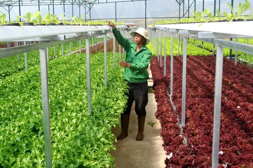Đột phá công nghệ để hướng đến nông thôn hiện đại, nông dân văn minh