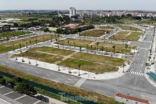 Ai đã phê duyệt giá khởi điểm cho dự án của Chủ tịch Vimedimex?