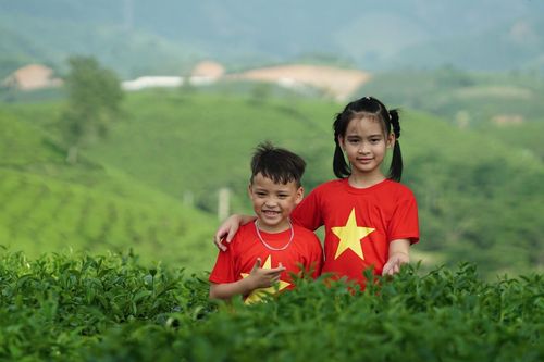 Đồi chè Mỹ Thuận - Nơi cất giữ bình yên