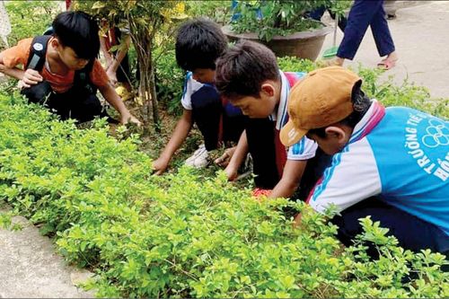 Chính trị - Xã hội Mô hình tốt, cách làm hay