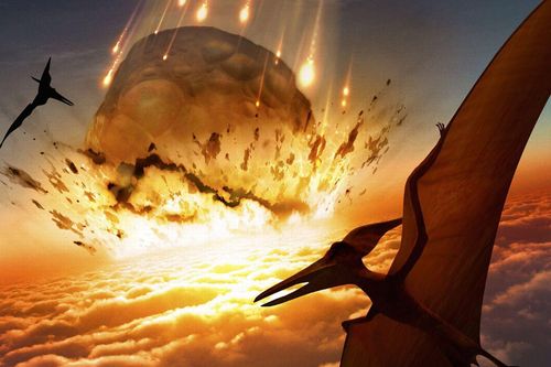 Trái đất gặp họa, sao một số loài chim không tuyệt chủng như khủng long?