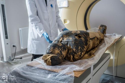 Sự thật điếng người xác ướp nam 'mang thai 7 tháng': Chuyên gia đã nhầm!
