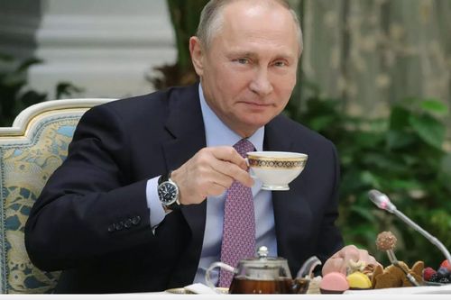 Tổng thống Serbia: Có nhiều thứ cần phải học hỏi từ Putin