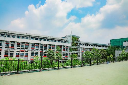 Vay 'tín dụng đen' vì mất học phí, một sinh viên mắc nợ 300 triệu đồng