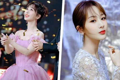 Dương Tử được và mất những gì sau 6 năm gắn bó với Hoan Thụy Thế Kỷ?
