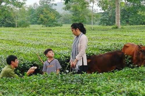 13 tác phẩm của Điện ảnh Quân đội nhân dân tham dự Liên hoan Phim Việt Nam lần thứ XXII