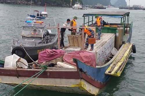 Quảng Ninh: Bắt giữ 2,3 tấn cá tầm không rõ nguồn gốc