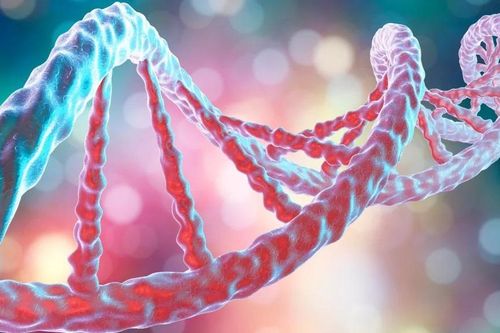 Phát hiện phiên bản gene tăng gấp đôi nguy cơ tử vong do COVID-19