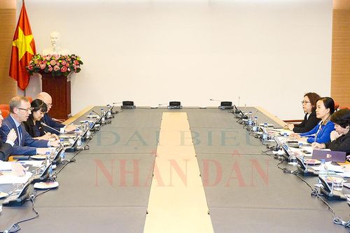 Chủ nhiệm Ủy ban Xã hội Nguyễn Thúy Anh tiếp Đại sứ Vương quốc Anh và Đại sứ Argentina