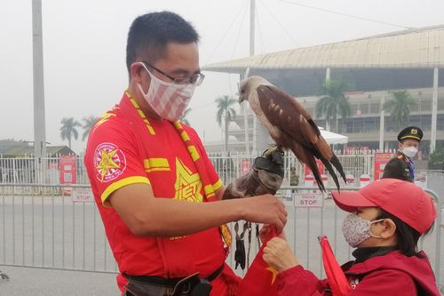 Cổ động viên mang đại bàng đến sân Mỹ Đình cỗ vũ tuyển Việt Nam