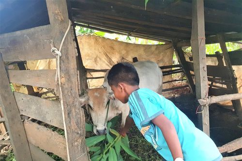 Cách chức hiệu trưởng giữ học bạ của trò nghèo
