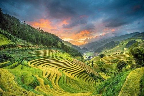 Việt Nam sở hữu 2 ruộng bậc thang đẹp nhất thế giới