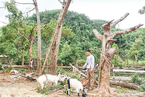 Diện mạo nông thôn xã Vĩnh Ô ngày càng khởi sắc