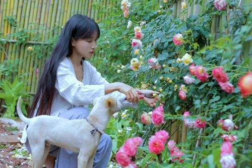 Thế hệ ưu tú của Trung Quốc về quê