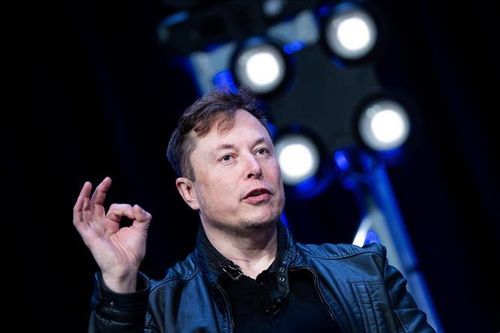 Tỷ phú Elon Musk dùng vệ tinh giúp Brazil chống nạn phá rừng ở Amazon