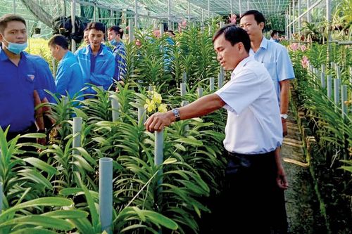 Kinh tế Nông nghiệp - Nông thôn Lan tỏa từ một cuộc vận động