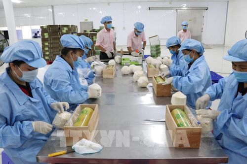 Tuân thủ nghiêm quy định để tránh ảnh hưởng xuất khẩu sang EU