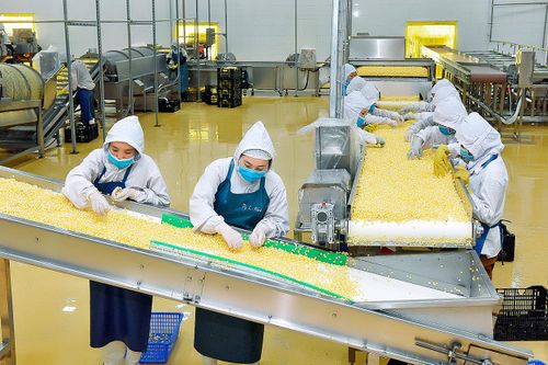 Để nông nghiệp là 'trụ đỡ' của nền kinh tế - Kỳ 2: Ưu tiên lĩnh vực chế biến nông sản