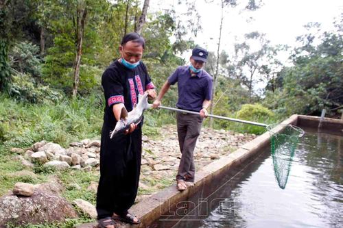 Tiềm năng phát triển thủy sản