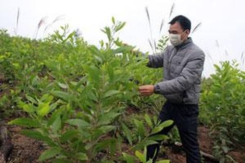 Thực hiện chính sách đặc thù phát triển nông nghiệp tại huyện Lộc Bình: Còn nhiều khó khănTin khácThông báo nội dung kỳ họp thứ sáu (kỳ họp chuyên đề) HĐND tỉnh khóa XVII, nhiệm kỳ 2021- 2026Nâng cao vai trò, vị thế của phụ nữ trong xã hội