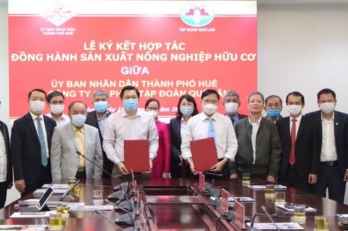 Kinh tế Nông nghiệp - Nông thôn Ký kết hợp tác, đồng hành sản xuất nông nghiệp hữu cơ
