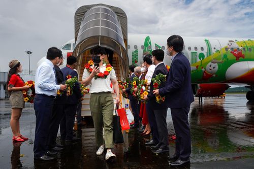 Hơn 200 khách Hàn Quốc đến Phú Quốc sau dịch