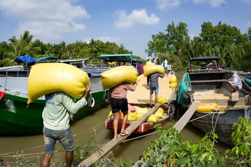 'Bạn hàng xáo' cần được tiếp sức