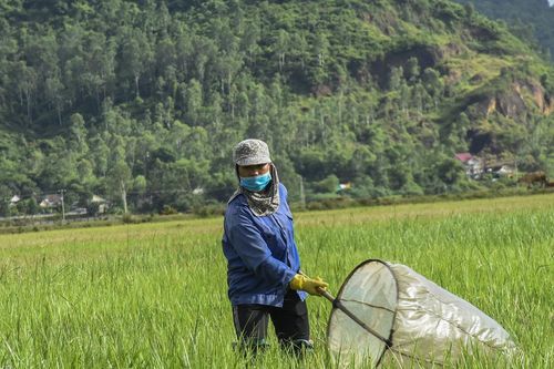 Ba động vật gây hại nhưng đích thị 'mỏ vàng', dân bán kiếm bộn tiền
