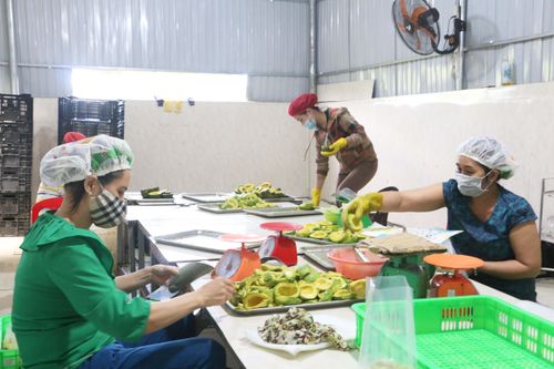 Gia Lai: Ban hành kế hoạch về nâng cao năng suất và chất lượng