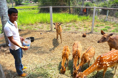 An Khê: Các xã quyết tâm về đích nông thôn mới nâng cao