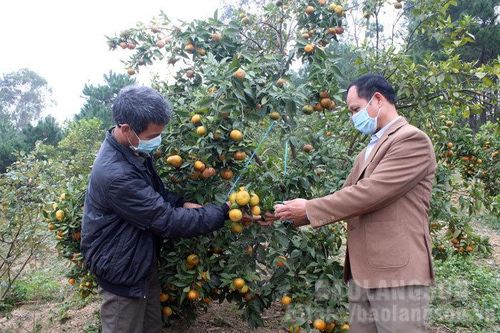 Chủ động triển khai xây dựng vườn mâũTin khácThông báo nội dung kỳ họp thứ sáu (kỳ họp chuyên đề) HĐND tỉnh khóa XVII, nhiệm kỳ 2021- 2026Nâng cao vai trò, vị thế của phụ nữ trong xã hội