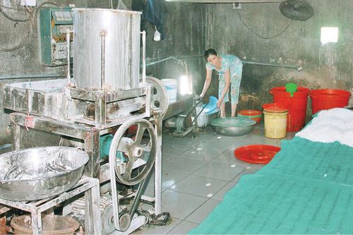 Kinh tế Nông nghiệp - Nông thôn Xây dựng nông thôn mới ở Quảng Điền: Lo tiêu chí thu nhập