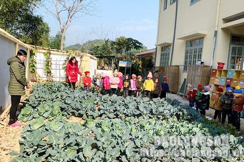 Tràng Định: Lợi ích từ mô hình 'Vườn rau của bé'Tin khácPhấn đấu bệnh viện luôn là 'vùng xanh' trong phòng chống dịchThông báo nội dung kỳ họp thứ sáu (kỳ họp chuyên đề) HĐND tỉnh khóa XVII, nhiệm kỳ 2021- 2026