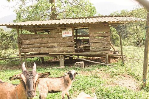 Bước chuyển mới trong công tác giảm nghèo bền vững ở Đakrông