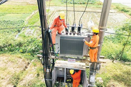 Kinh tế Kinh tế Ưu tiên nguồn lực đầu tư hạ tầng lưới điện