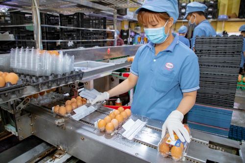 Doanh nghiệp quyết giữ 'vùng xanh' sản xuất