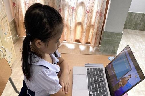 Lý do An Giang tạm dừng dạy trực tuyến bậc tiểu học 1 tuần
