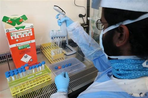 Một biến thể mới của virus SARS-CoV-2 mang số lượng đột biến 'rất cao'
