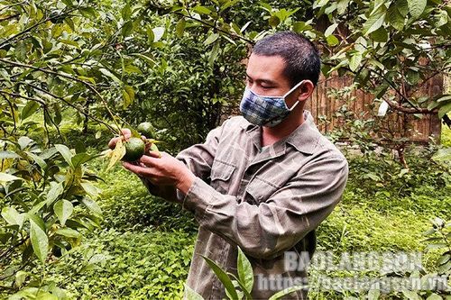 Anh Chí năng động phát triển kinh tếTin khácPhấn đấu bệnh viện luôn là 'vùng xanh' trong phòng chống dịchThông báo nội dung kỳ họp thứ sáu (kỳ họp chuyên đề) HĐND tỉnh khóa XVII, nhiệm kỳ 2021- 2026